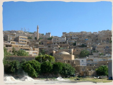 d0227344_23315760.jpg