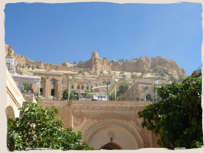 d0227344_2336149.jpg