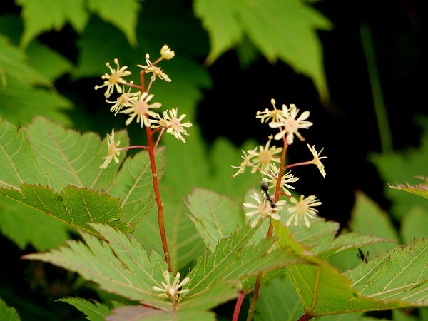 c0081645_2245229.jpg