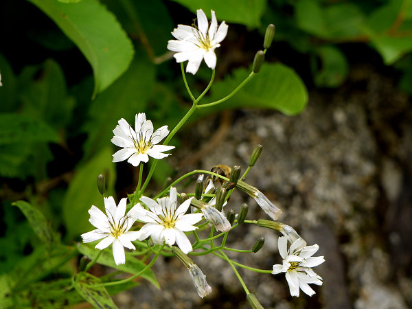 c0081645_22471868.jpg