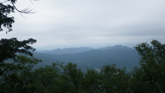 c0042847_1745281.jpg