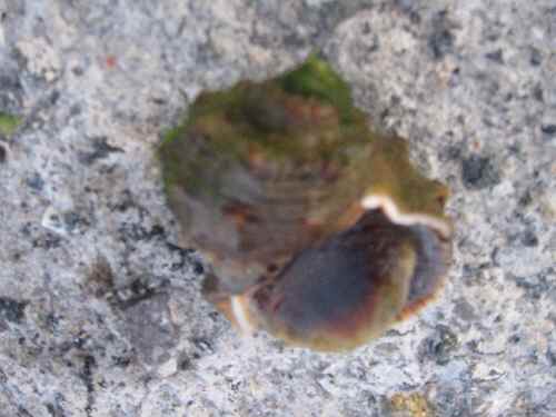 f0131048_1863926.jpg