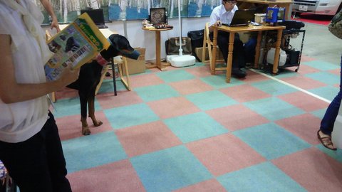 f0046250_74384.jpg