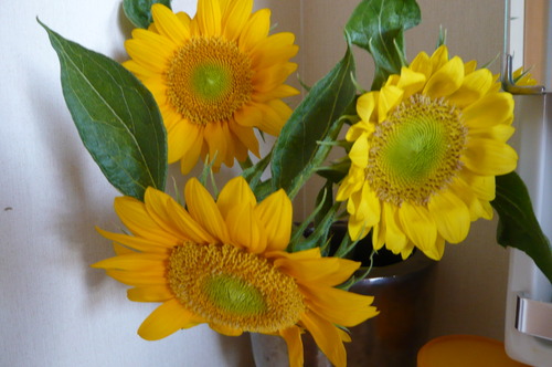 a0152454_10301382.jpg