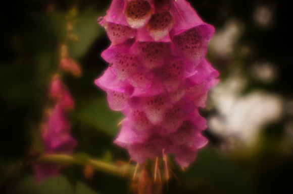 e0066861_2303094.jpg
