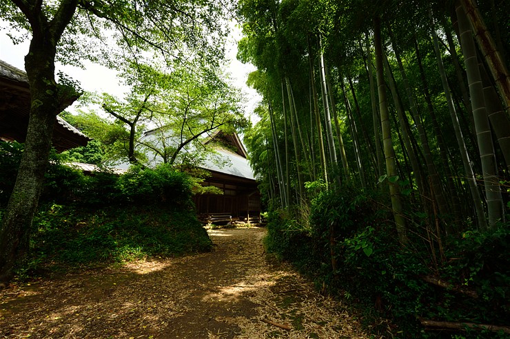 f0222161_15322634.jpg