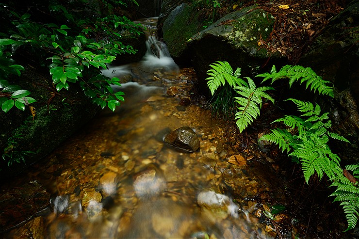 f0222161_15323181.jpg