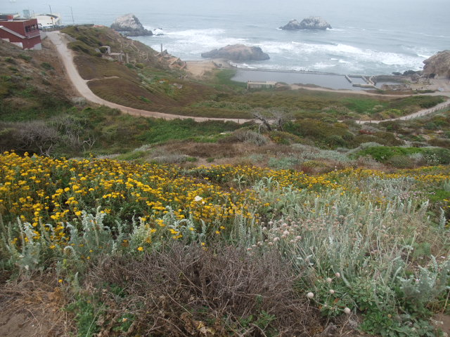 c0115366_21282429.jpg