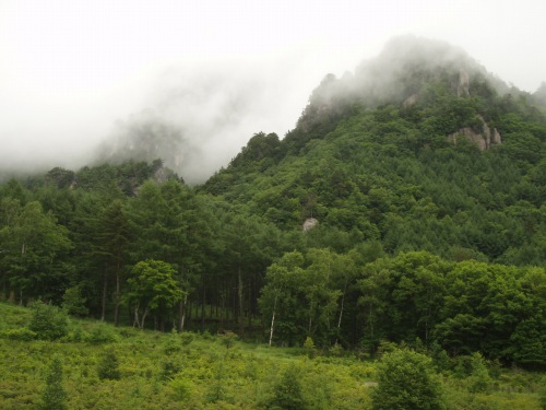 b0050067_043449.jpg