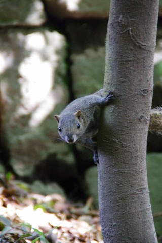 e0045768_2130096.jpg
