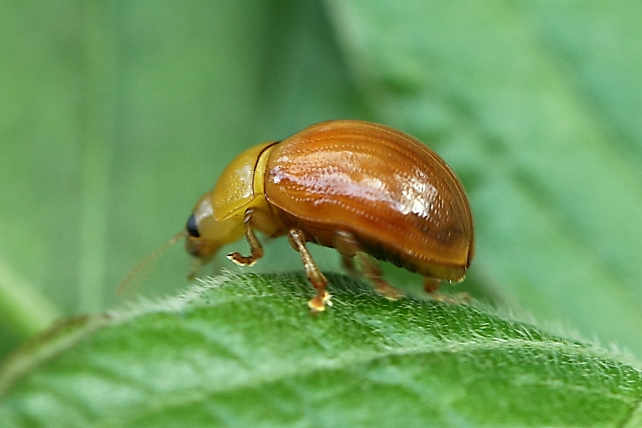 e0249878_01457100.jpg