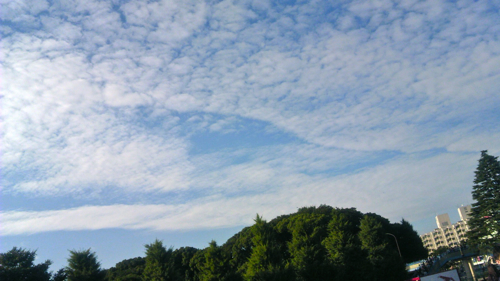 a0105480_19464281.jpg