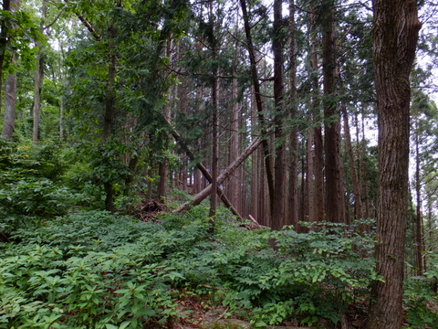 a0043982_16284868.jpg