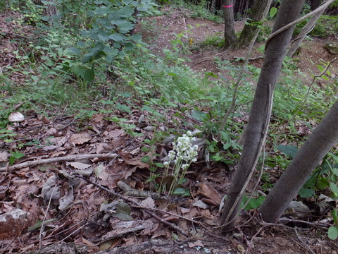 a0043982_16572228.jpg