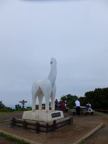 a0043982_1993531.jpg