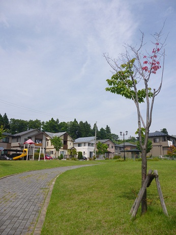 d0129083_1621163.jpg