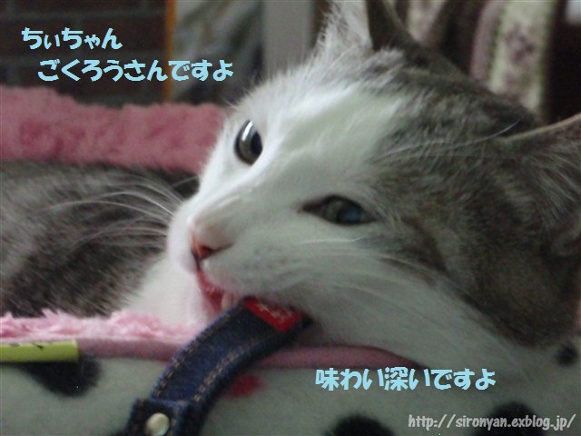 a0159490_14211426.jpg
