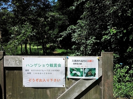 e0143690_9165513.jpg