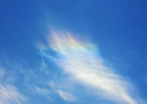 e0143690_964367.jpg