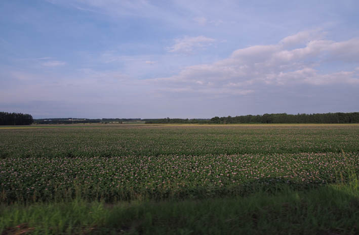 e0064400_23271582.jpg