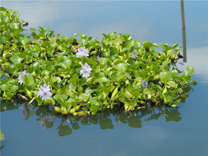 f0224100_5595613.jpg