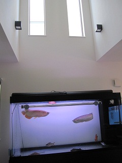 c0152002_1025554.jpg