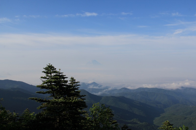 a0188405_8442825.jpg