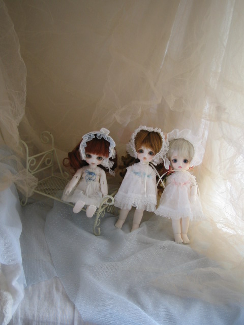 d0101907_03108.jpg