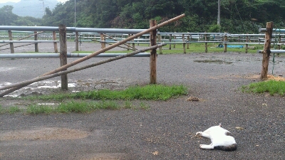 b0187620_20342011.jpg