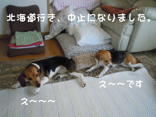 c0166622_11202045.jpg