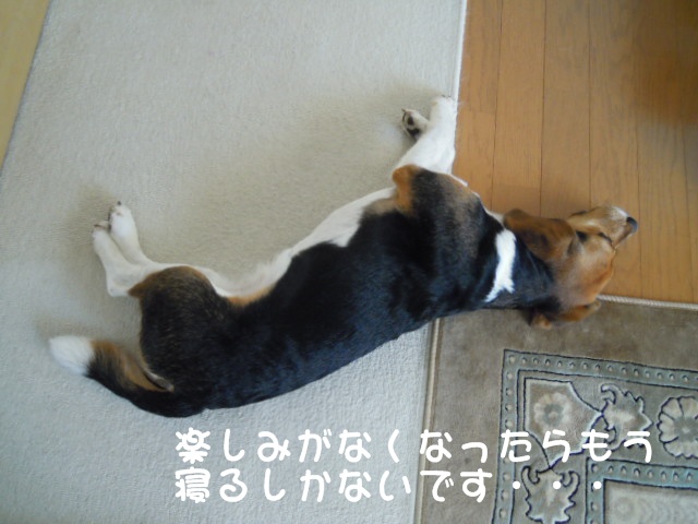 c0166622_1121272.jpg