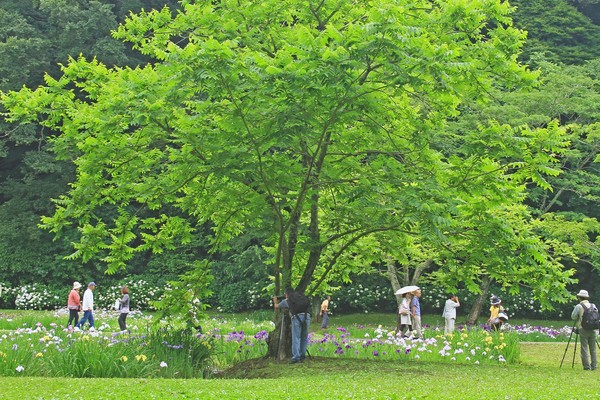 c0104227_1343896.jpg