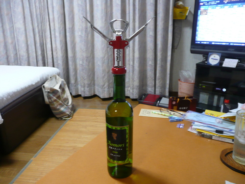 c0009528_22531339.jpg