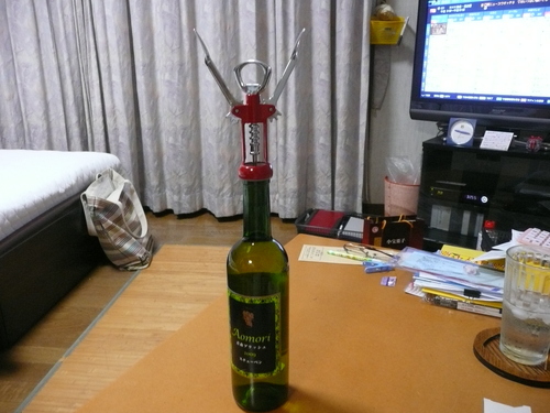 c0009528_22533844.jpg