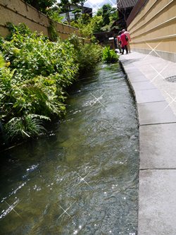 f0186330_13145751.jpg
