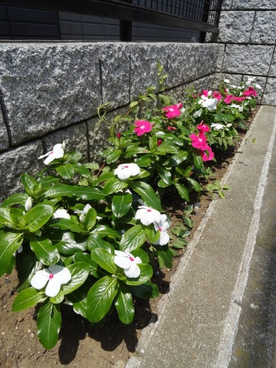 f0238932_0102128.jpg