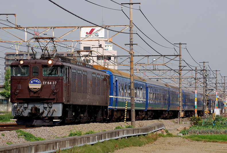 a0224334_1553864.jpg