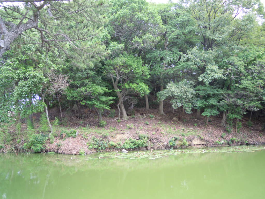 e0081334_1305960.jpg