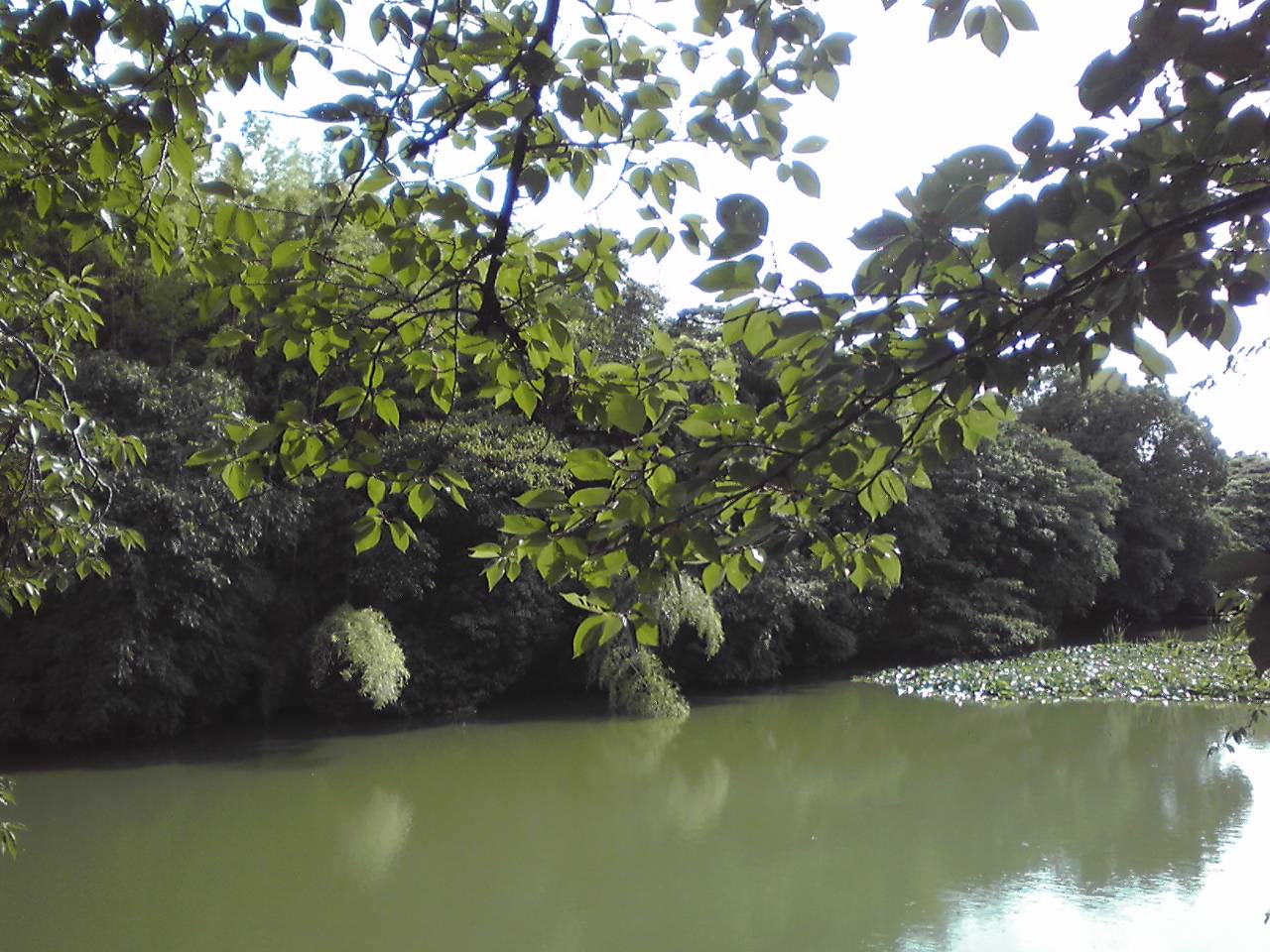 e0081334_2114740.jpg