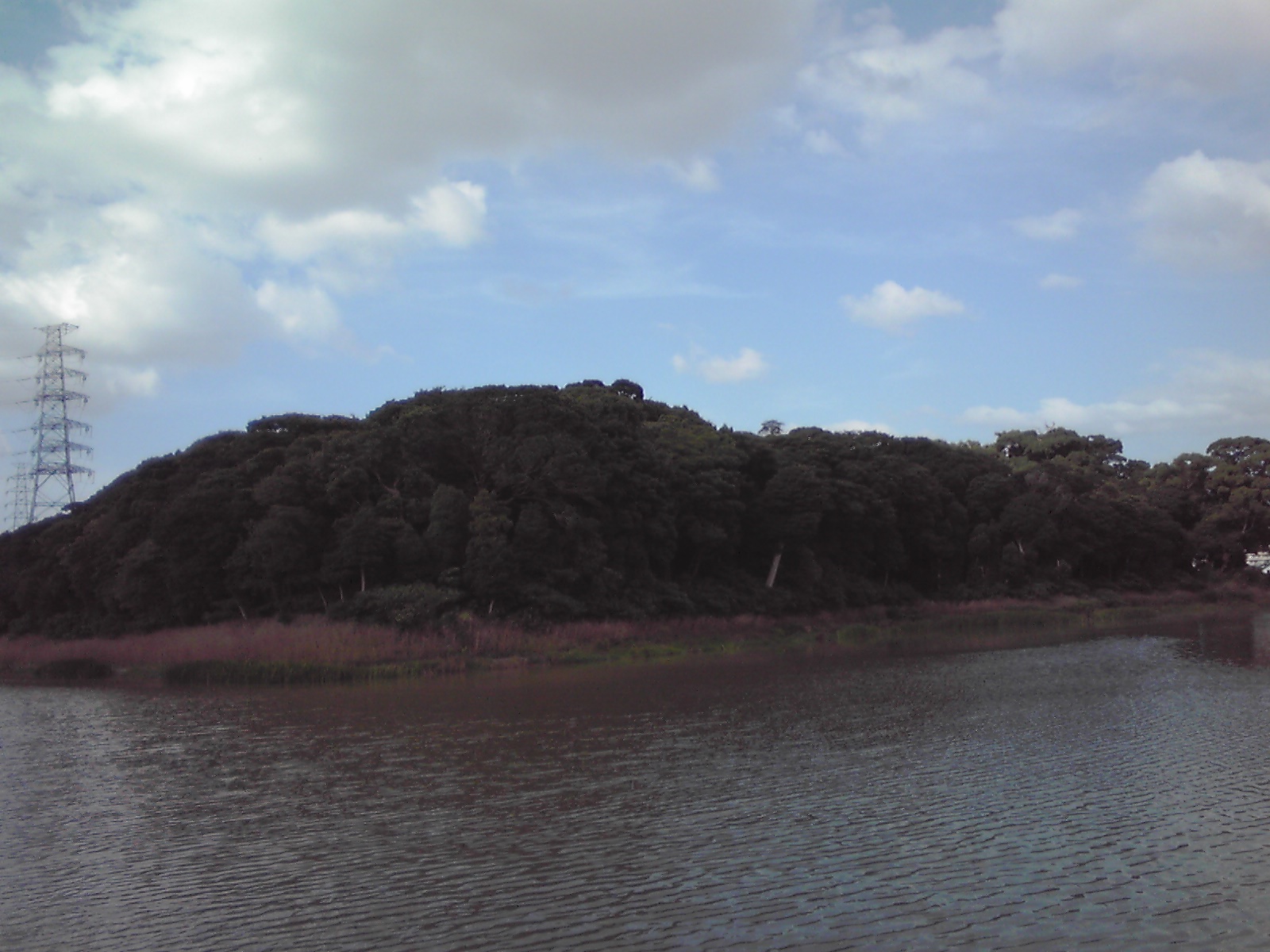 e0081334_2255829.jpg