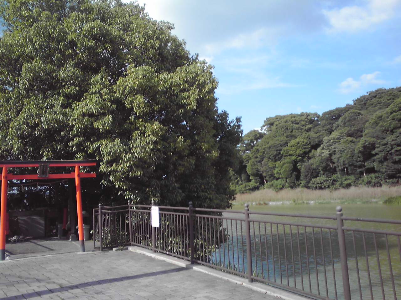 e0081334_2272265.jpg