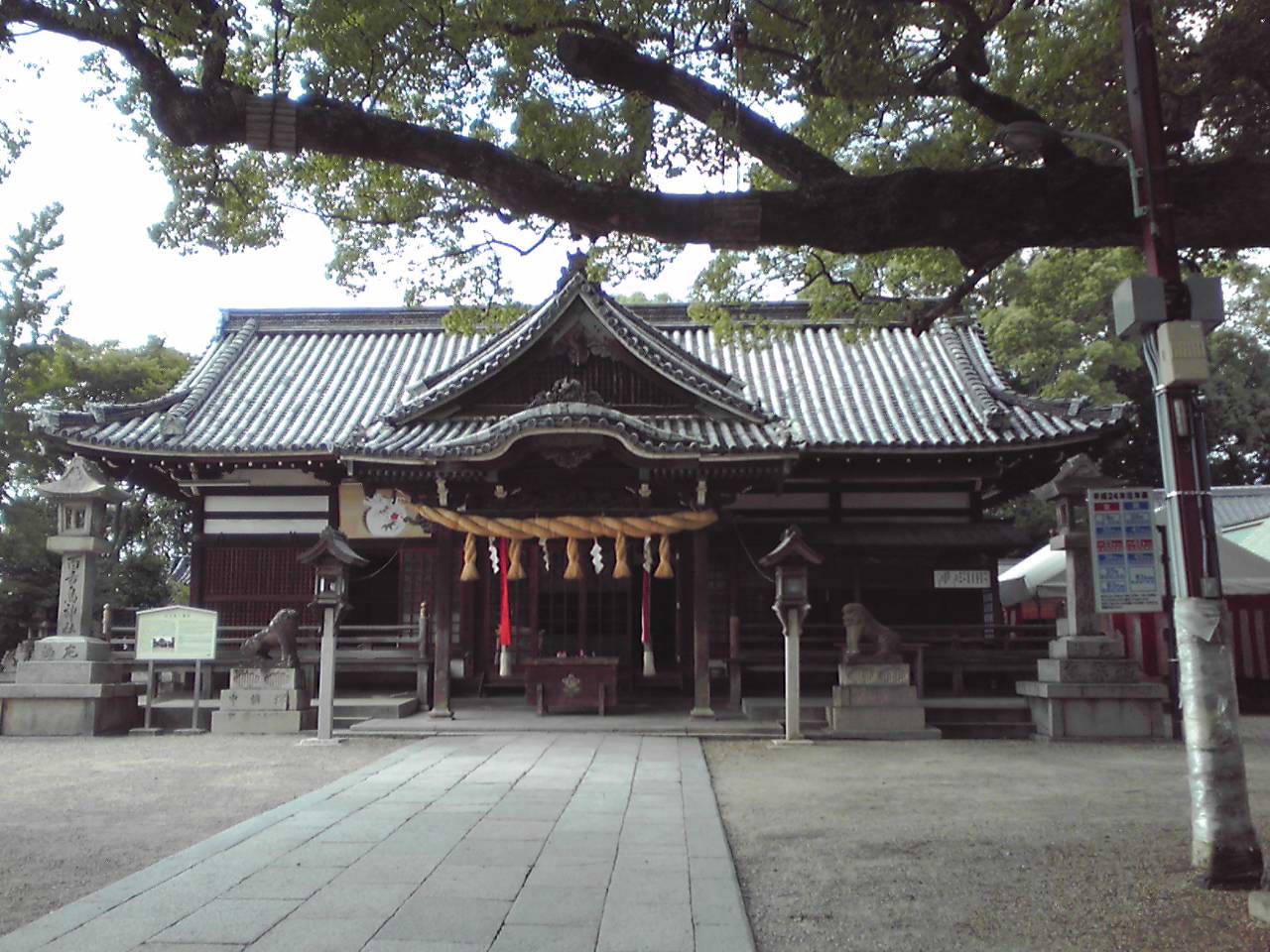 e0081334_23417.jpg
