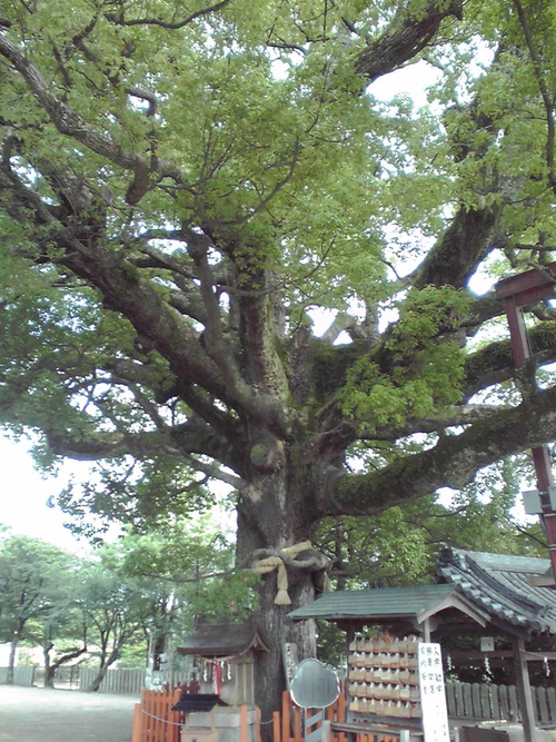 e0081334_2365720.jpg