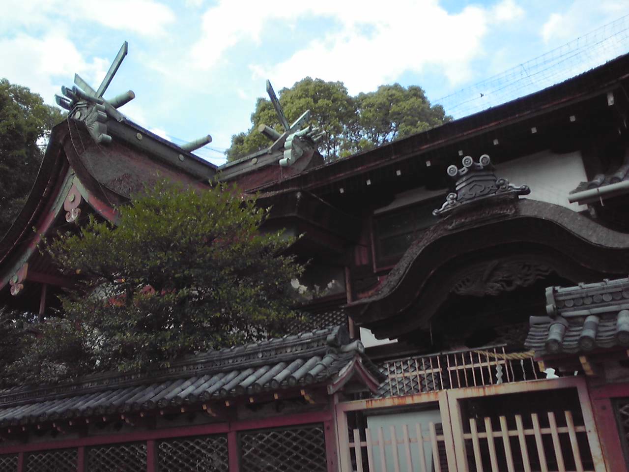 e0081334_2395214.jpg