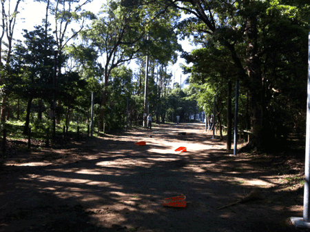 e0203037_20441330.gif