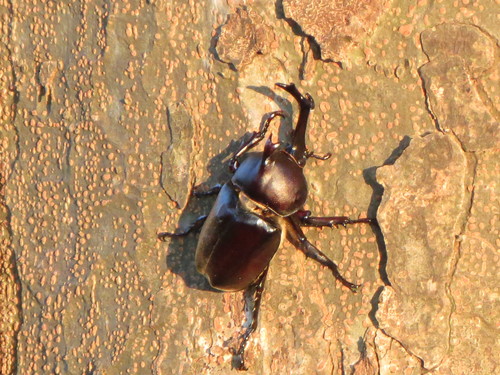e0259738_5143149.jpg