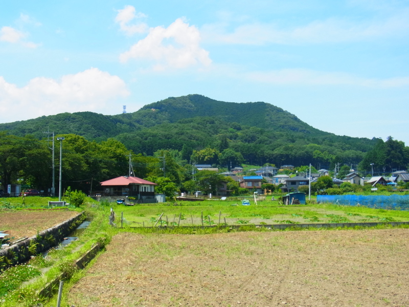 b0190242_129890.jpg