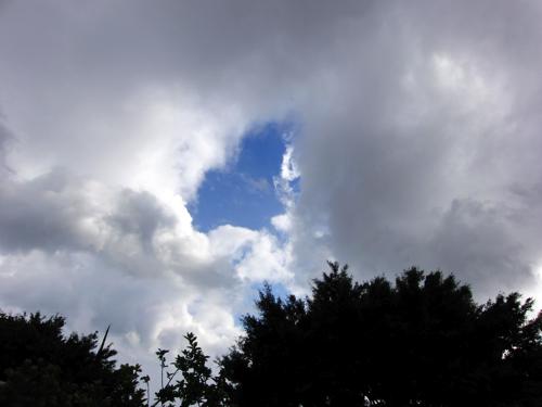 e0129046_1885774.jpg