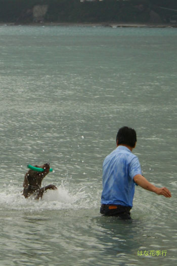 d0036450_156252.jpg