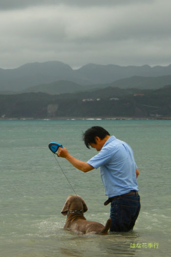 d0036450_1582473.jpg